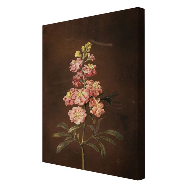 Cuadros de flores modernos Barbara Regina Dietzsch - A Light Pink Gillyflower