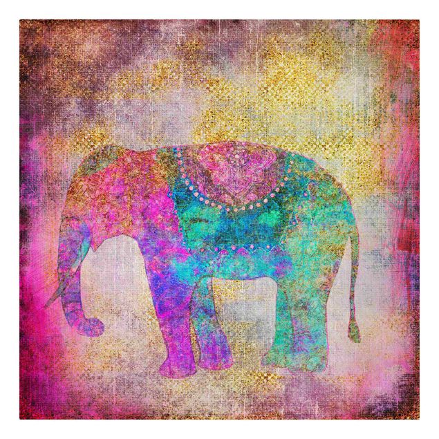 Lienzos zen Colourful Collage - Indian Elephant