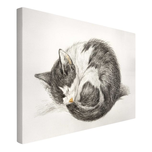 Lienzos blanco y negro Vintage Drawing Cat II
