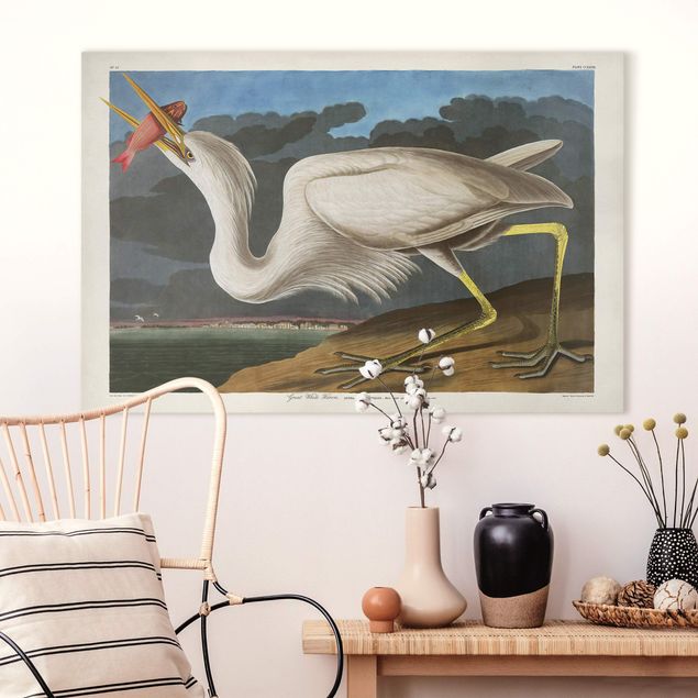 Lienzos de peces Vintage Board Great White Egret