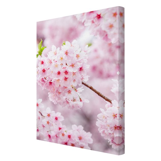 Cuadros de ciudades Japanese Cherry Blossoms