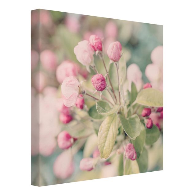 Cuadros de flores Apple Blossom Bokeh Light Pink