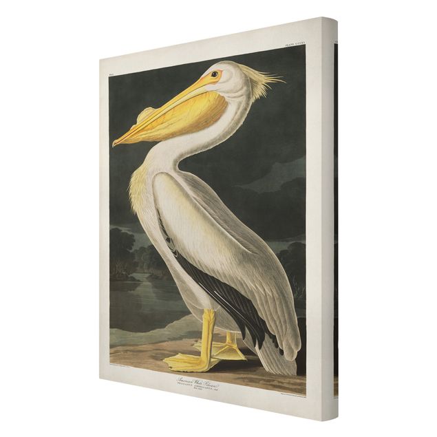 Cuadro amarillo Vintage Board White Pelican