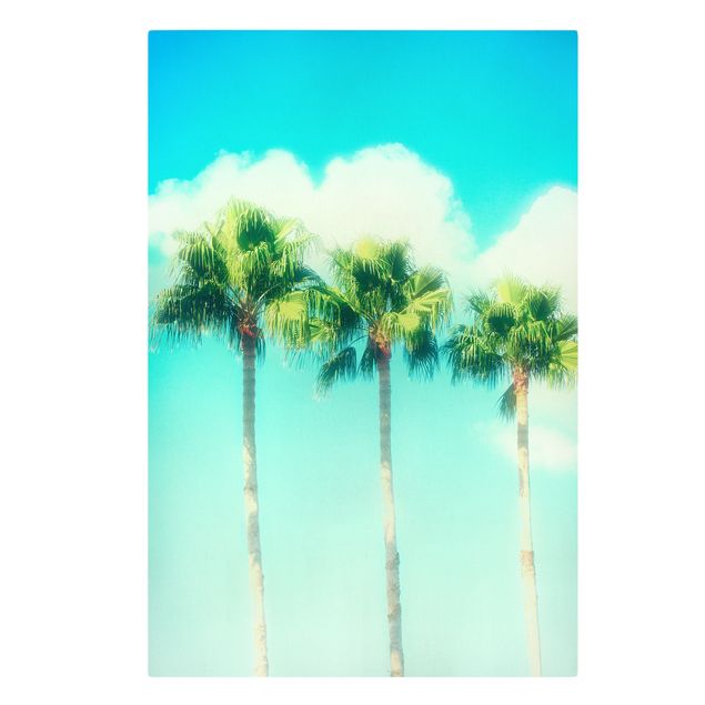 Cuadros de flores Palm Trees Against Blue Sky