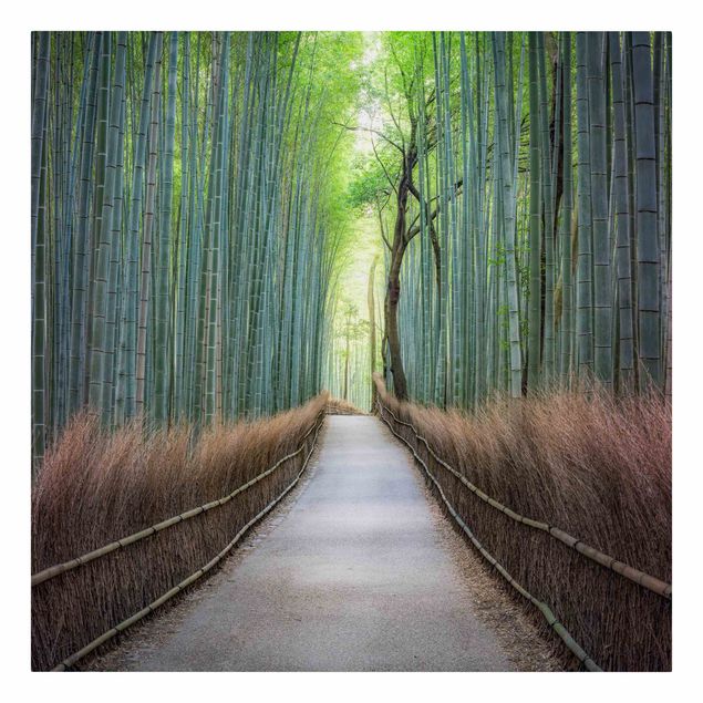 Lienzos ciudades The Path Through The Bamboo