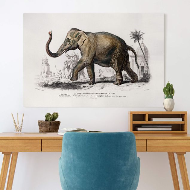 Lienzo de elefante Vintage Board Elephant