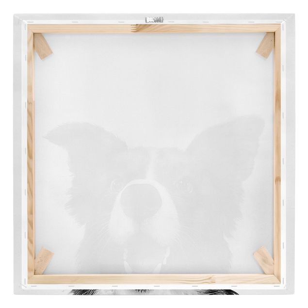 Cuadros en blanco y negro Illustration Dog Border Collie Black And White Painting