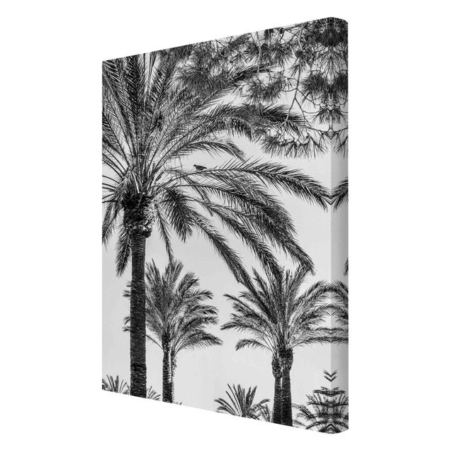 Cuadros de plantas naturales Palm Trees At Sunset Black And White