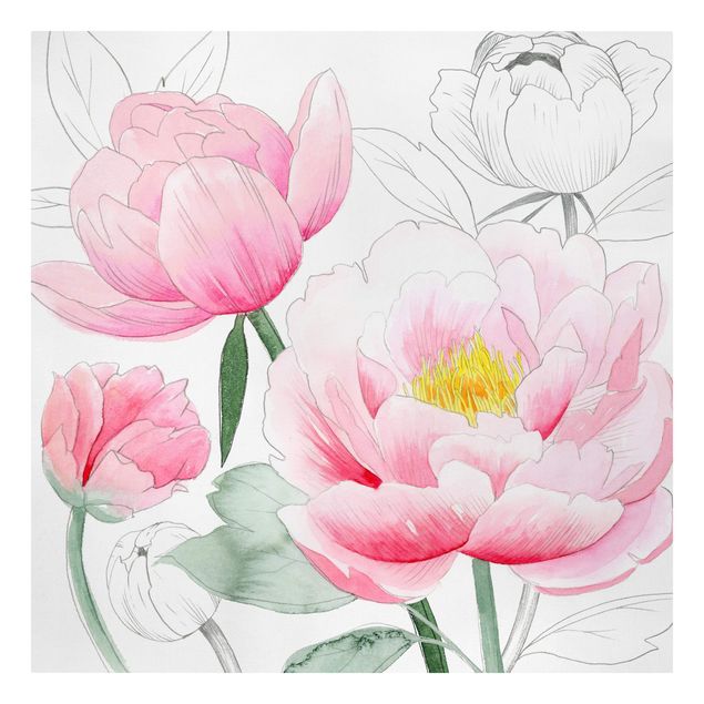 Cuadros flores Drawing Light Pink Peonies