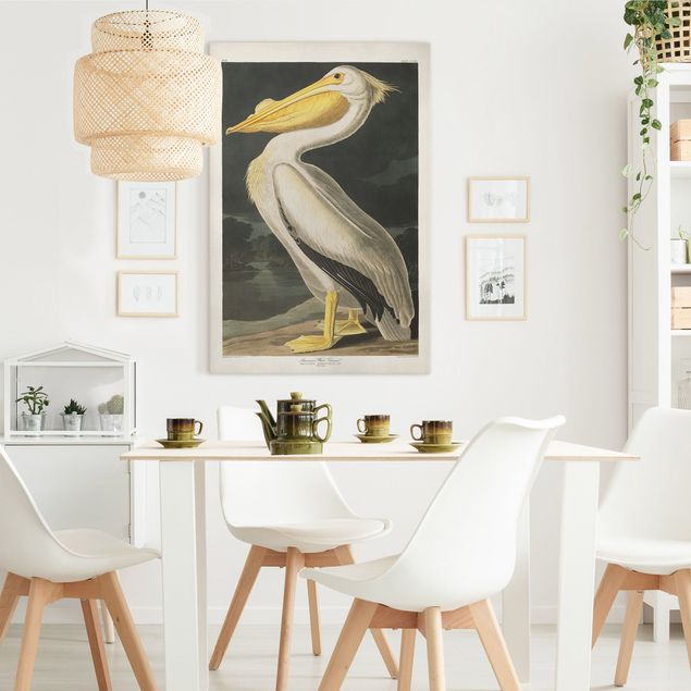 Lienzos de aves Vintage Board White Pelican