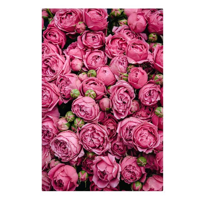 Cuadros de flores modernos Pink Peonies