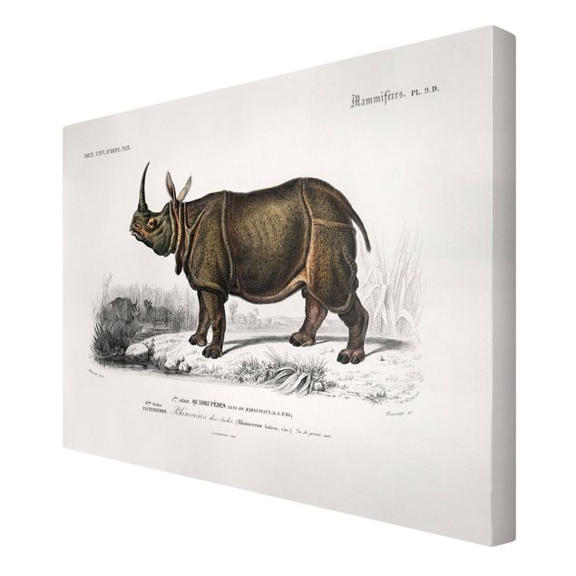 Lienzos de animales Vintage Board Rhino