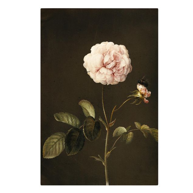 Cuadros en lienzo de flores Barbara Regina Dietzsch - French Rose With Bumblbee