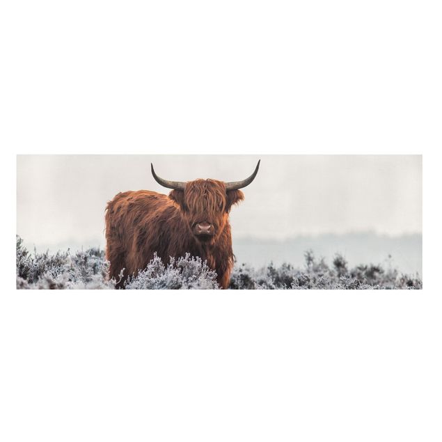 Cuadros modernos Bison In The Highlands