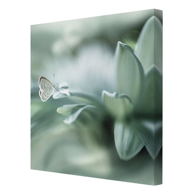 Cuadros de plantas Butterfly And Dew Drops In Pastel Green