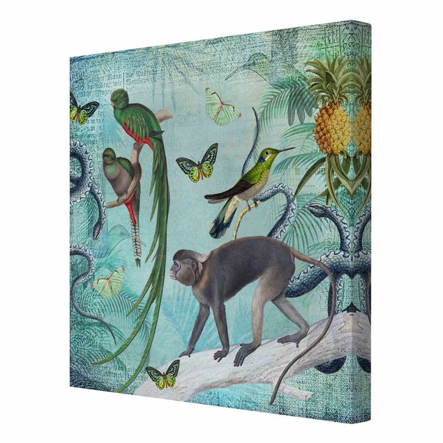 Lienzos de flores Colonial Style Collage - Monkeys And Birds Of Paradise