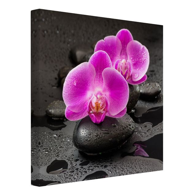 Lienzos efecto piedra Pink Orchid Flower On Stones With Drops