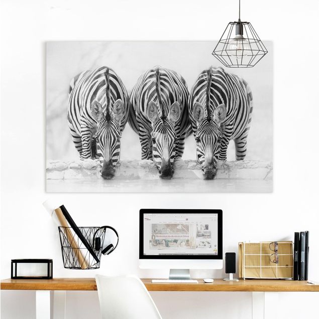 Decoración de cocinas Zebra Trio In Black And White