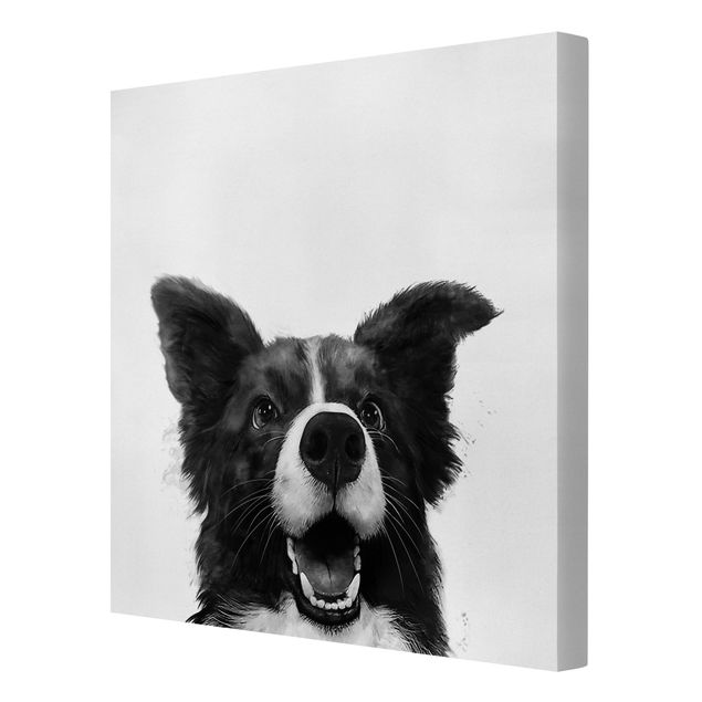 Reproducciónes de cuadros Illustration Dog Border Collie Black And White Painting