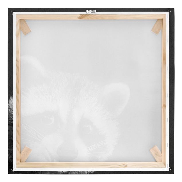 Cuadros modernos blanco y negro Illustration Racoon Black And White Painting