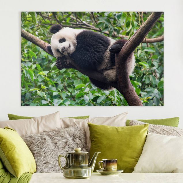 Decoración cocina Sleeping Panda On Tree Branch