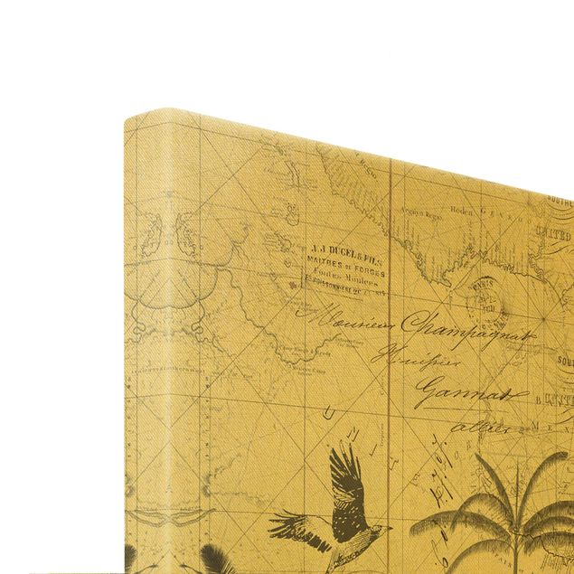 Cuadros de cebras Vintage Collage - Exotic Map