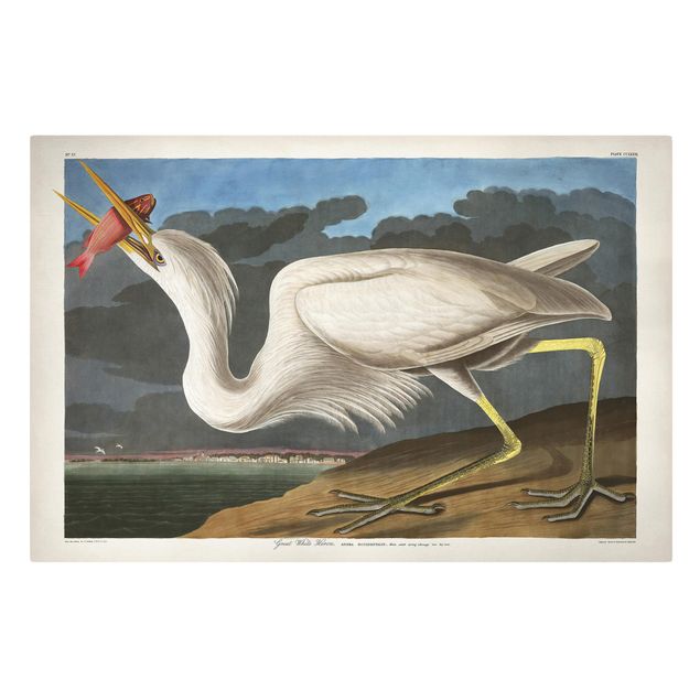 Lienzos vintage Vintage Board Great White Egret