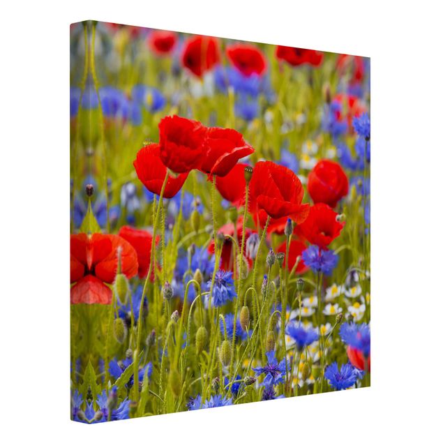 Lienzos de flores Summer Meadow With Poppies And Cornflowers