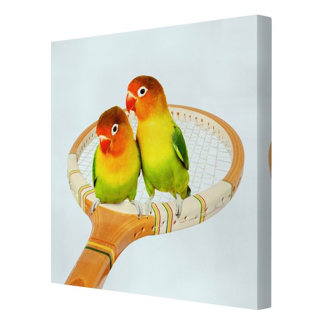 Lienzos animales Tennis With Birds