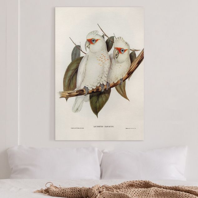 Decoración de cocinas Vintage Illustration White Cockatoo