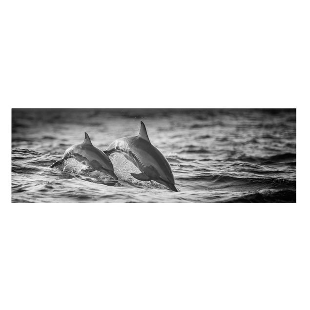 Lienzos de animales Two Jumping Dolphins