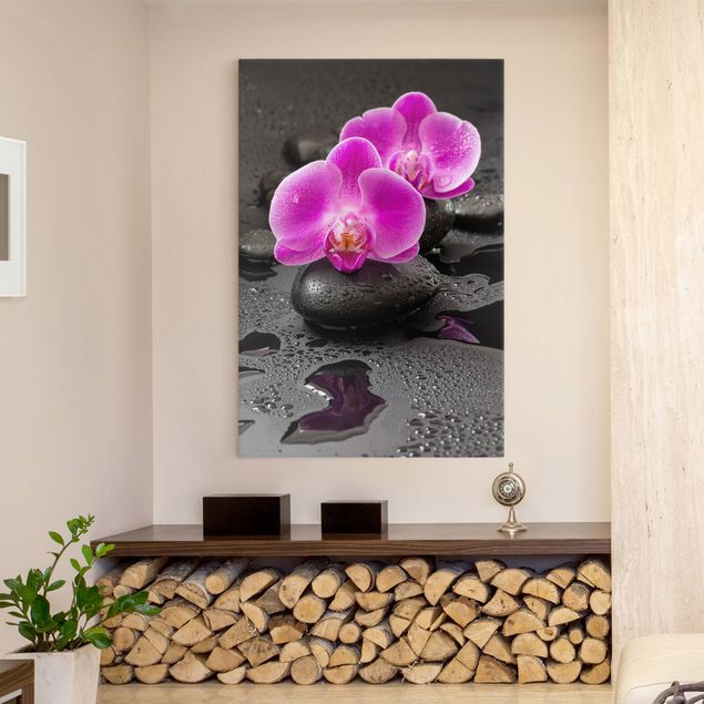Lienzos de orquídeas Pink Orchid Flower On Stones With Drops