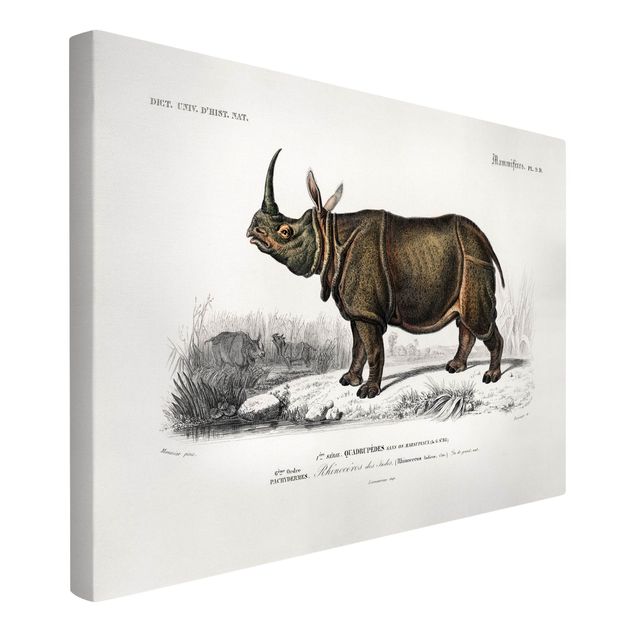 Lienzos de paisajes Vintage Board Rhino