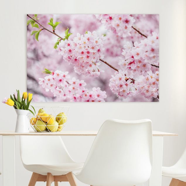 Cuadros asiaticos Japanese Cherry Blossoms