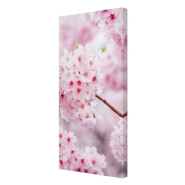 Cuadros ciudades Japanese Cherry Blossoms
