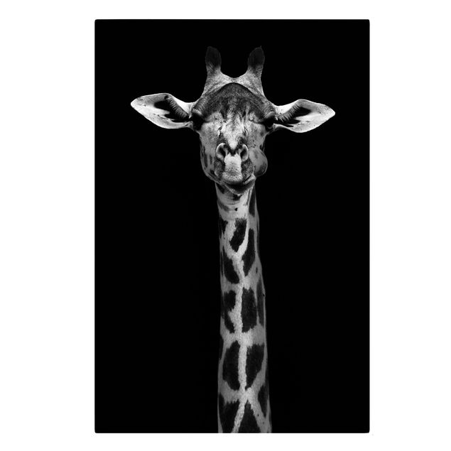 Lienzos de animales Dark Giraffe Portrait