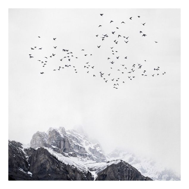 Cuadro con paisajes Flock Of Birds In Front Of Mountains Black And White