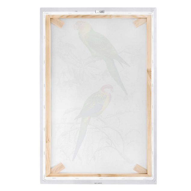 Cuadros modernos Vintage Wall Chart Two Parrots Green Red