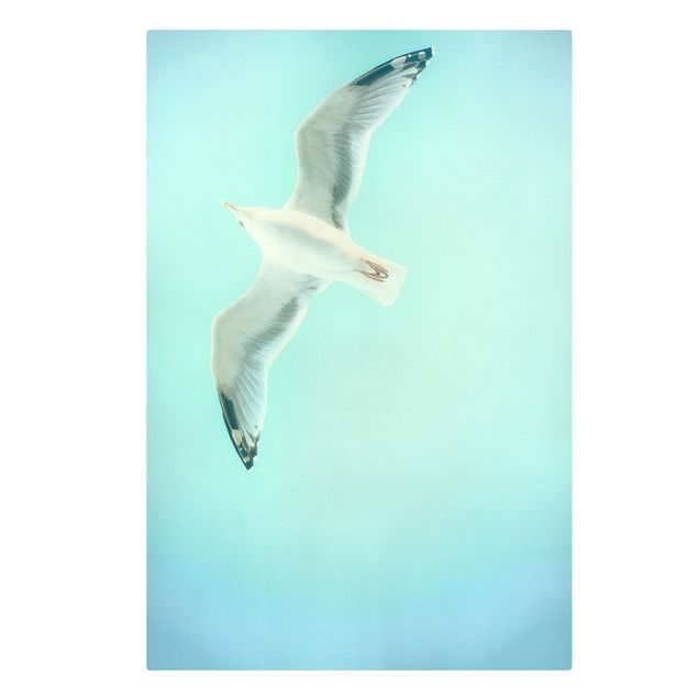 Lienzos animal Blue Sky With Seagull