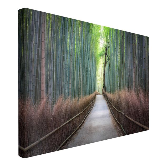 Cuadro con paisajes The Path Through The Bamboo