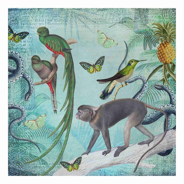 Lienzos de aves Colonial Style Collage - Monkeys And Birds Of Paradise