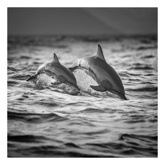 Lienzos animales Two Jumping Dolphins