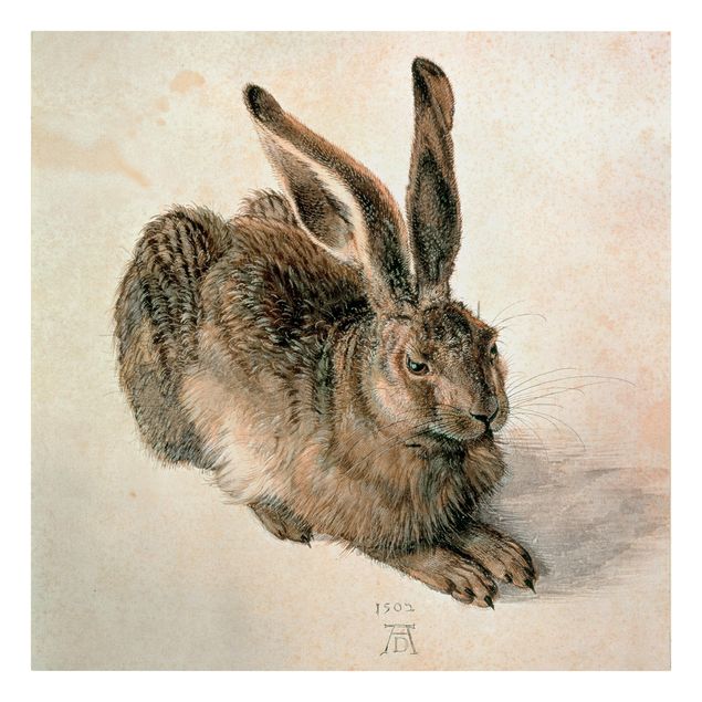 Reproducciónes de cuadros Albrecht Dürer - Young Hare