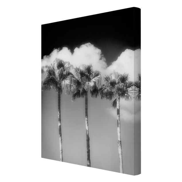 Cuadros en blanco y negro Palm Trees Against The Sky Black And White