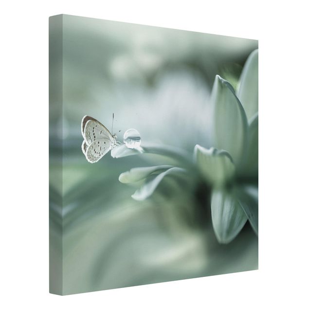 Cuadros de mariposas modernos Butterfly And Dew Drops In Pastel Green