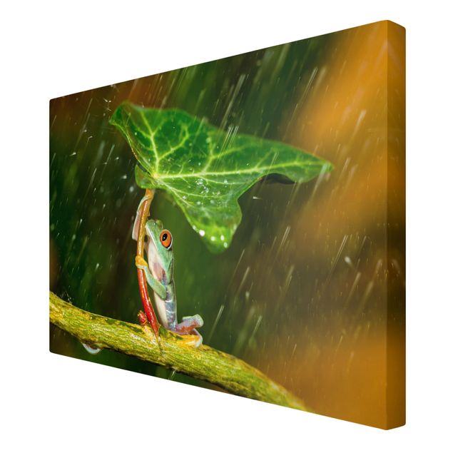 Cuadros tonos verdes Frog In The Rain