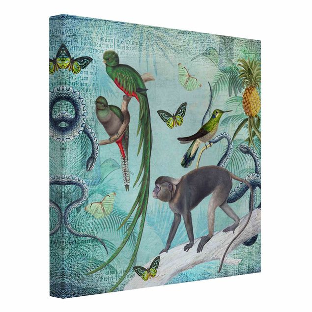 Lienzos mariposas Colonial Style Collage - Monkeys And Birds Of Paradise