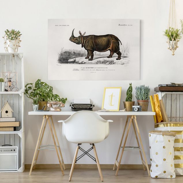 Lienzos de África Vintage Board Rhino
