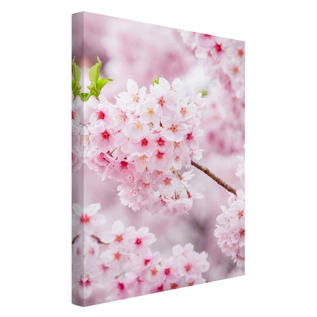 Lienzos ciudades Japanese Cherry Blossoms