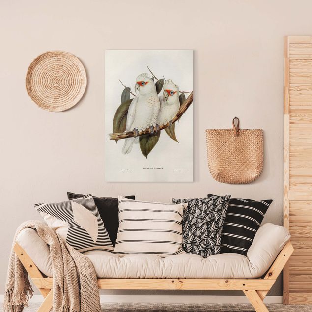 Lienzos de aves Vintage Illustration White Cockatoo